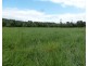 Silkwood QLD 4856