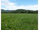 Silkwood QLD 4856