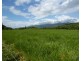 Silkwood QLD 4856