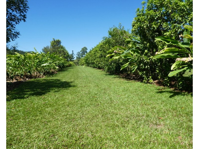 554 (Lot8) Utchee Creek Road, Utchee Creek QLD 4871