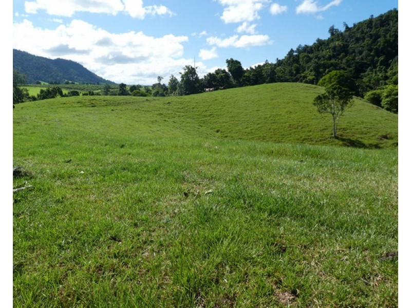 554 (Lot8) Utchee Creek Road, Utchee Creek QLD 4871