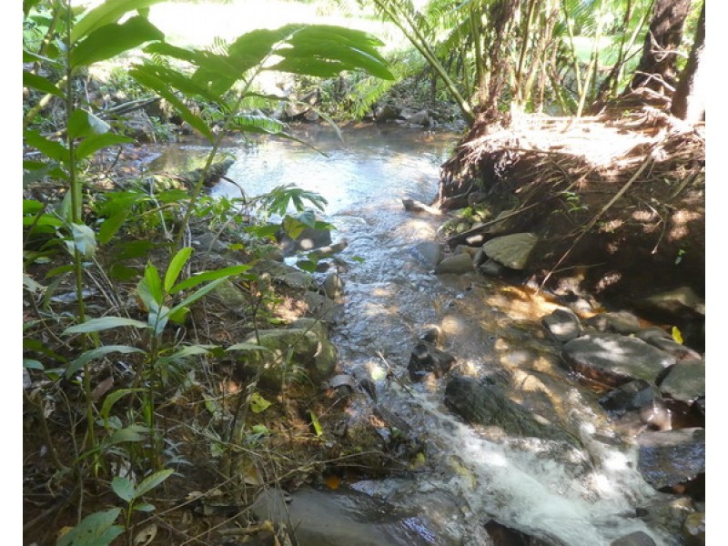 554 (Lot8) Utchee Creek Road, Utchee Creek QLD 4871