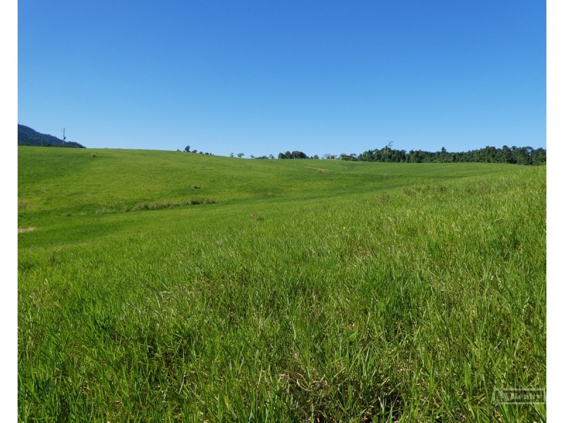 Garradunga QLD 4860