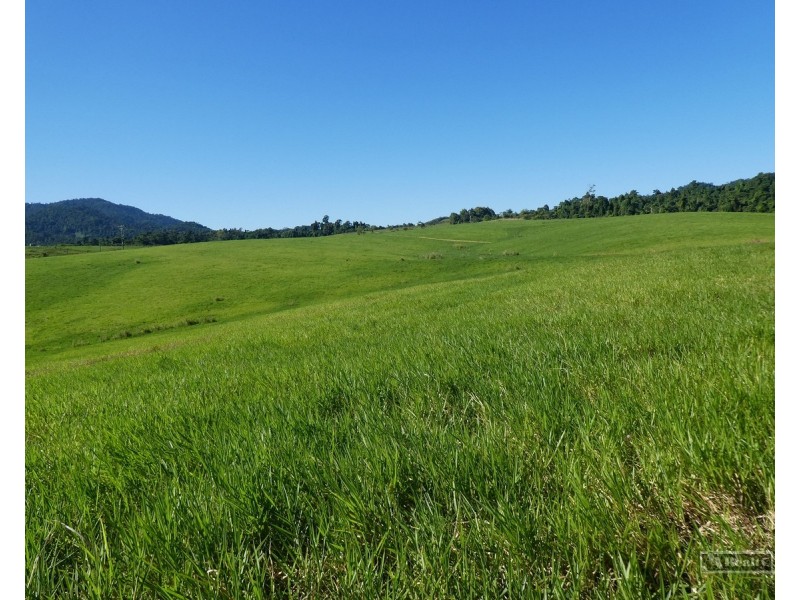 Garradunga QLD 4860