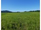 Garradunga QLD 4860