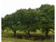 Garradunga QLD 4860