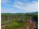 Silkwood QLD 4856