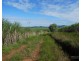 Silkwood QLD 4856