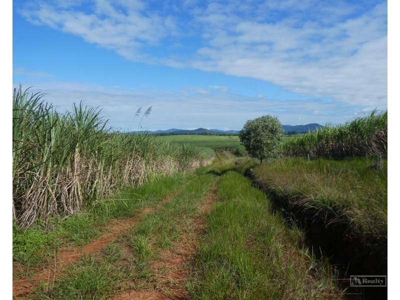 Silkwood QLD 4856