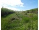 Silkwood QLD 4856
