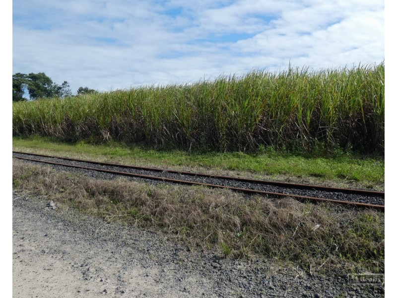 Silkwood QLD 4856