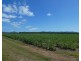 Mourilyan QLD 4858