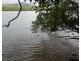 Bellenden Ker QLD 4871