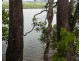 Bellenden Ker QLD 4871
