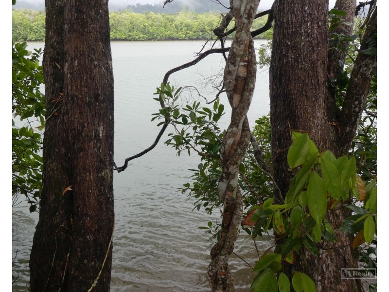 Bellenden Ker QLD 4871