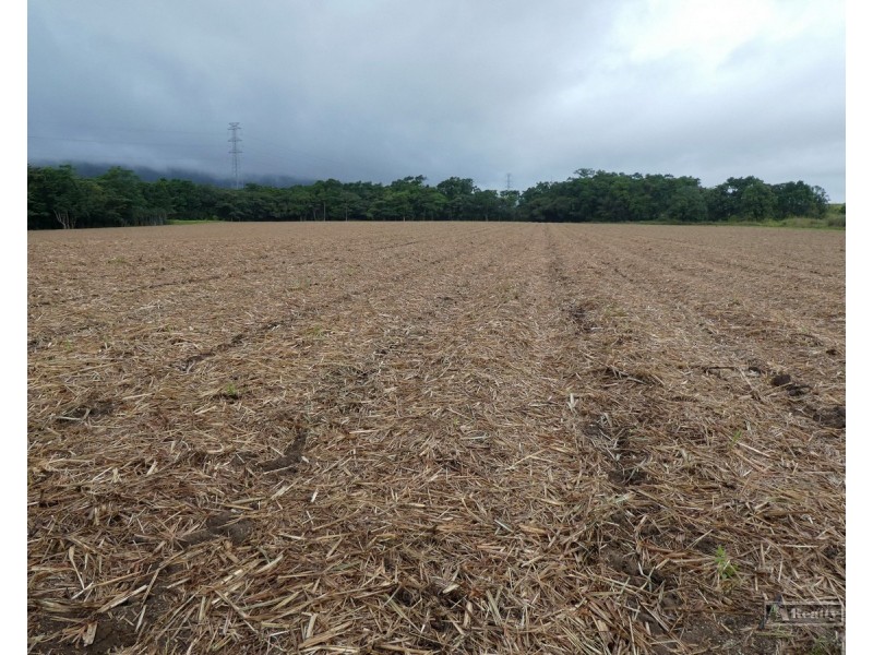 Bellenden Ker QLD 4871