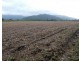 Bellenden Ker QLD 4871