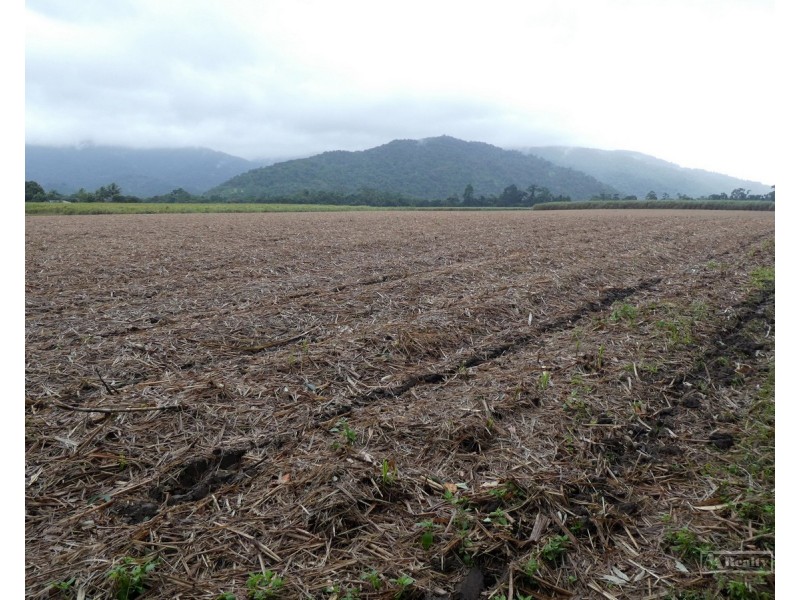 Bellenden Ker QLD 4871