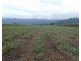 Bellenden Ker QLD 4871