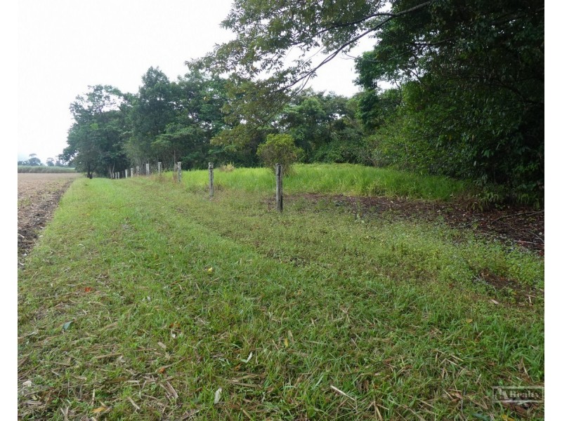 Bellenden Ker QLD 4871