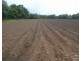 Bellenden Ker QLD 4871
