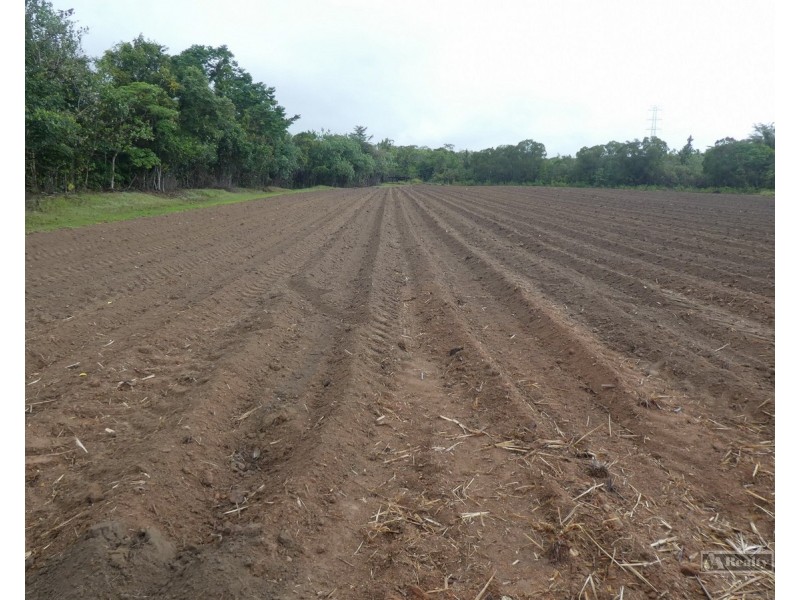 Bellenden Ker QLD 4871