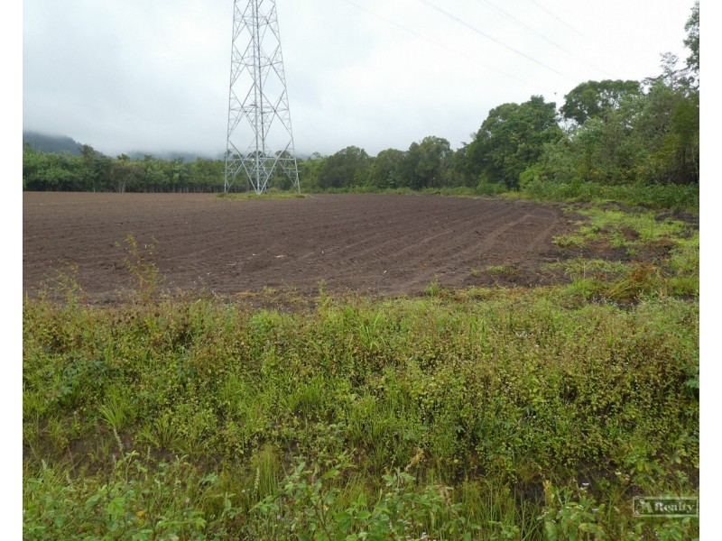 Bellenden Ker QLD 4871