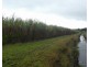 Bellenden Ker QLD 4871