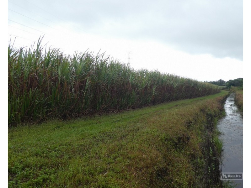 Bellenden Ker QLD 4871