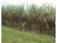 Bellenden Ker QLD 4871