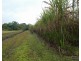 Bellenden Ker QLD 4871