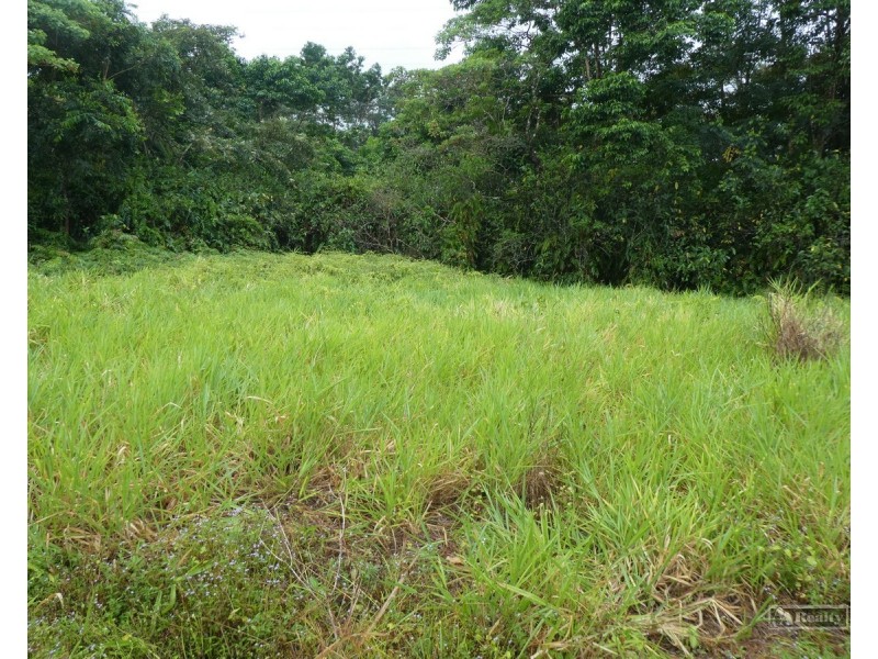 Bellenden Ker QLD 4871
