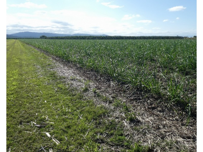 Cowley QLD 4871
