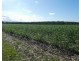 Cowley QLD 4871