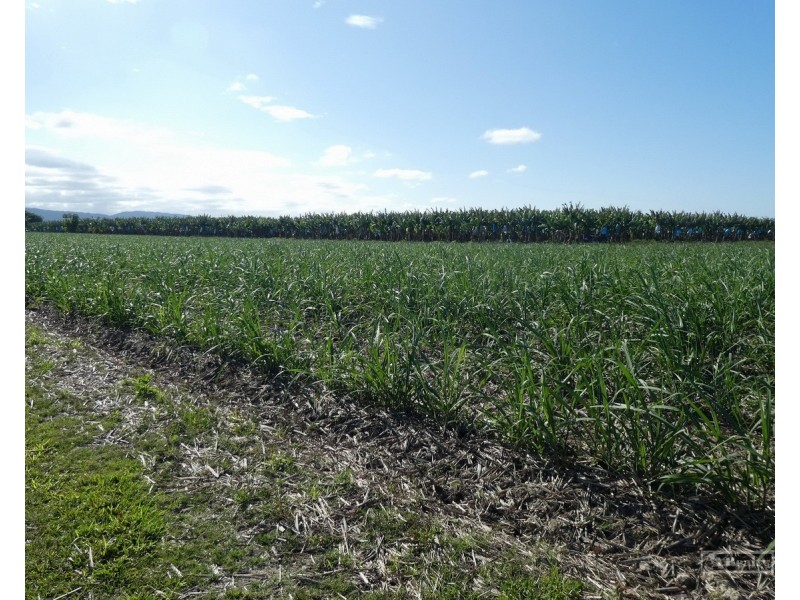 Cowley QLD 4871