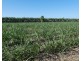 Cowley QLD 4871