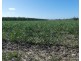 Cowley QLD 4871