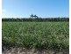 Cowley QLD 4871