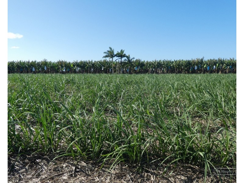 Cowley QLD 4871