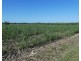 Cowley QLD 4871