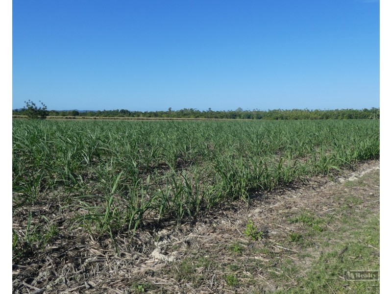 Cowley QLD 4871