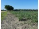 Cowley QLD 4871