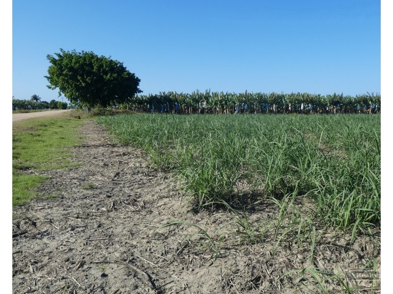 Cowley QLD 4871