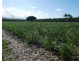 Cowley QLD 4871