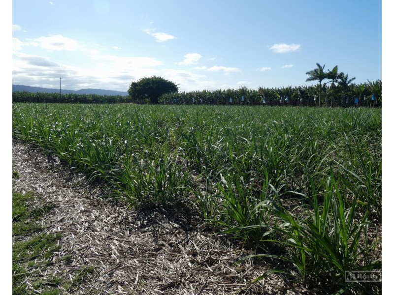 Cowley QLD 4871