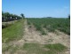 Cowley QLD 4871