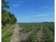 Cowley QLD 4871