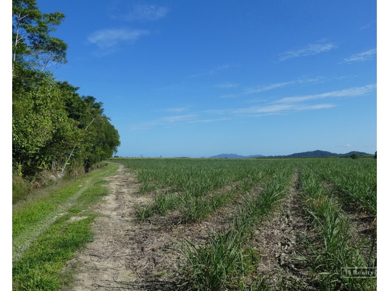 Cowley QLD 4871