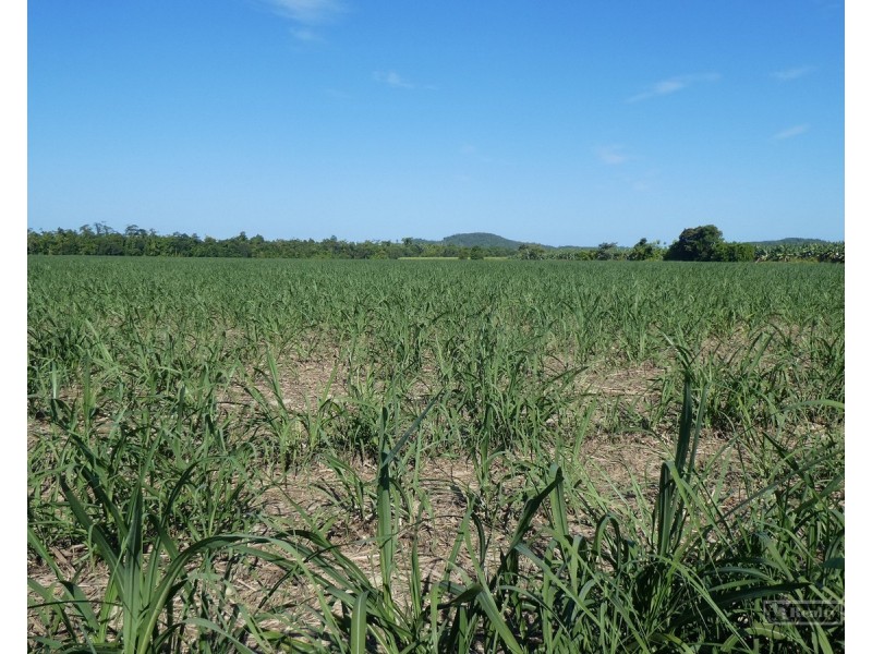 Cowley QLD 4871