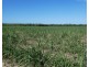Cowley QLD 4871